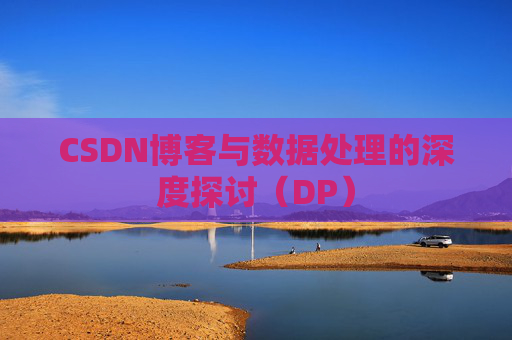 CSDN博客与数据处理的深度探讨（DP）